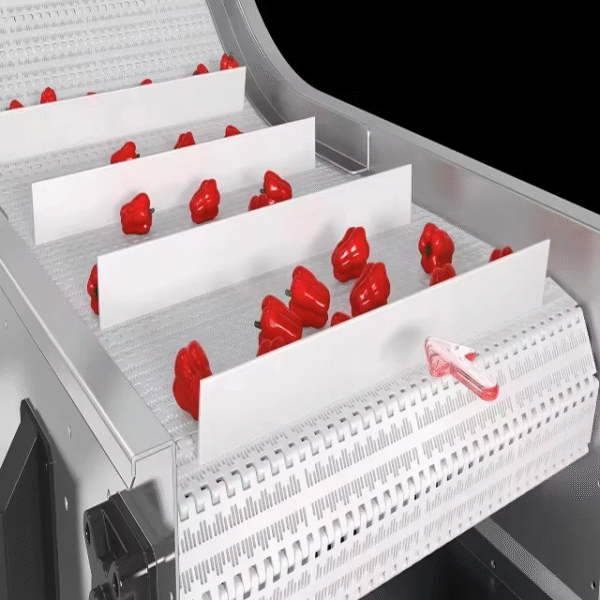 Withe Food Grade Plastic Belt Conveyor with Cleat New Belt Conveyor Elevator for Food Processing