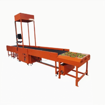 Advanced Swivel Wheel Sorting Machine Warehouse Sorting System Package Sorting System for EfficientLogistics Warehouse Industry