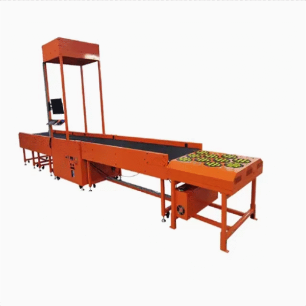 Advanced Swivel Wheel Sorting Machine Warehouse Sorting System Package Sorting System for EfficientLogistics Warehouse Industry