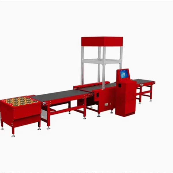 Advanced Swivel Wheel Sorting Machine Warehouse Sorting System Package Sorting System for EfficientLogistics Warehouse Industry - Image 3