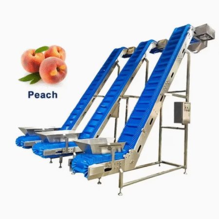Custom Stainless Steel 304 Frame PVC With Chain Plate Inclined Conveyor Lifter for Agriculture Products Fruits Beans Seeds Etc