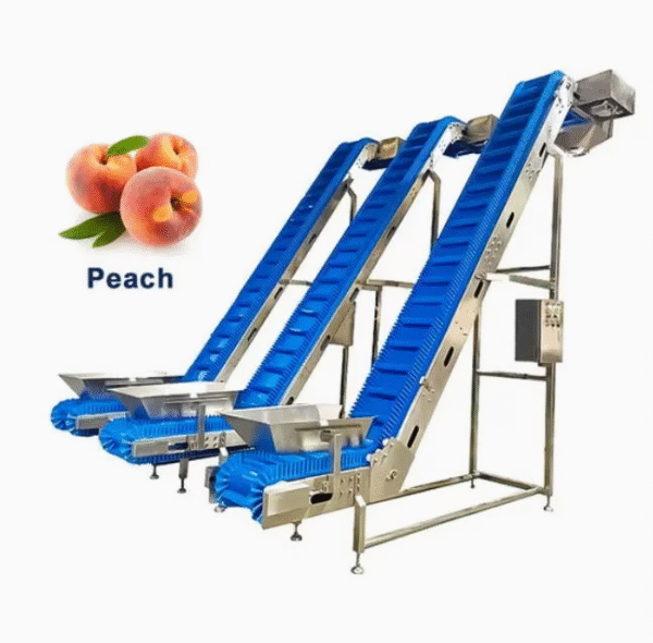 Custom Stainless Steel 304 Frame PVC With Chain Plate Inclined Conveyor Lifter for Agriculture Products Fruits Beans Seeds Etc
