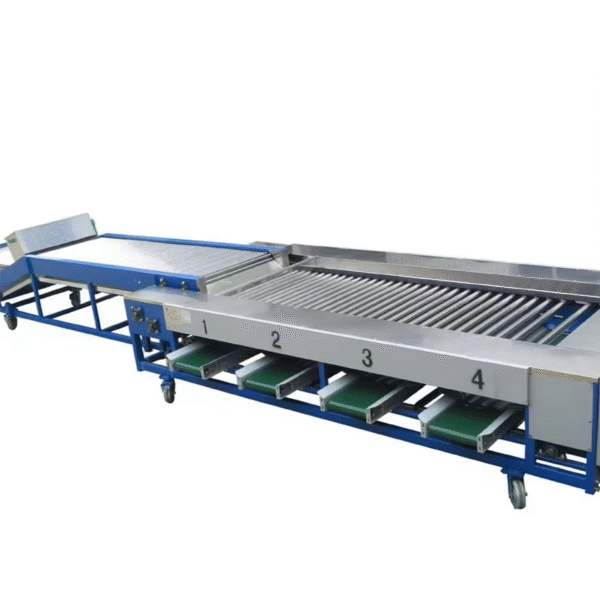 Roller Sorting Table Conveyor for Tomato Potato and Cherry Sorting Rotary apple Conveyor System Screening Blueberry Conveyor - Image 5