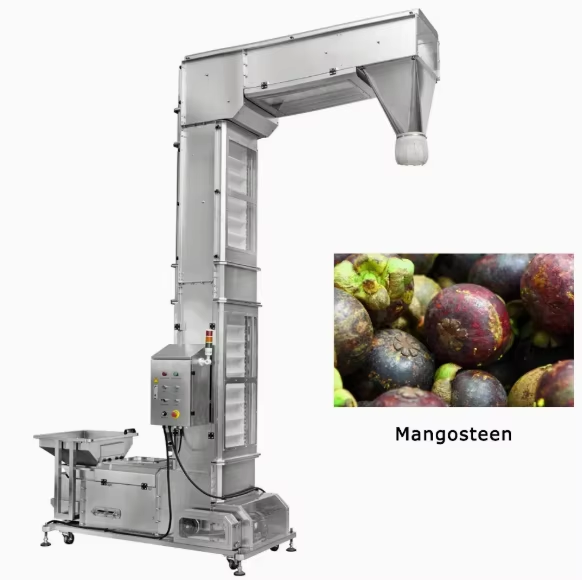 Z-type Bucket Elevator Conveyors with Hopper Automatic Material Bucket Conveyor for Fruit Transport Vertical Bucket Conveyor - Image 3