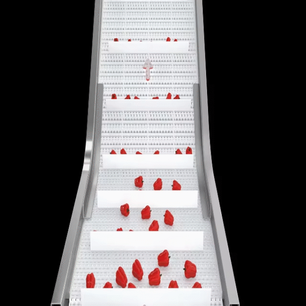 Withe Food Grade Plastic Belt Conveyor with Cleat New Belt Conveyor Elevator for Food Processing - Image 3