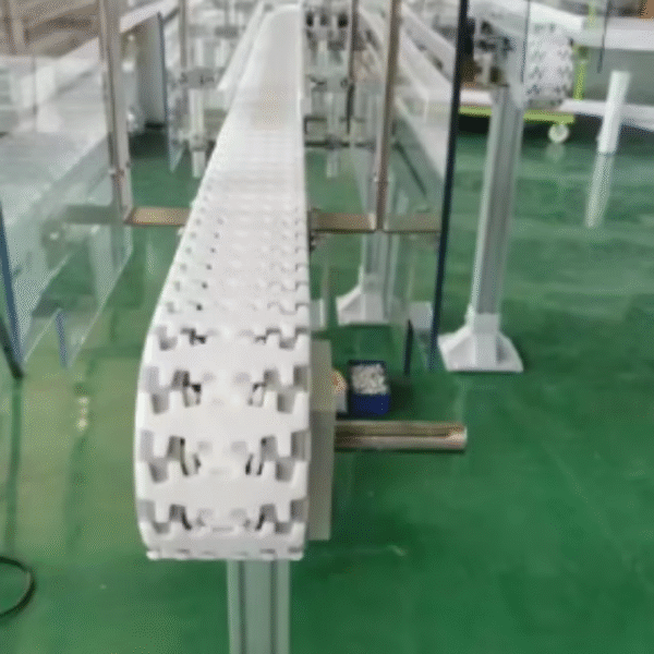 Customized Flexible Conveyor Plastic Flexible Chain Conveyor for Food Sorting Bottle Conveyor Assembly Line Food Production Line - Image 6