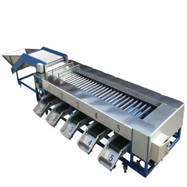 Roller Sorting Table Conveyor for Tomato Potato and Cherry Sorting Rotary apple Conveyor System Screening Blueberry Conveyor - Image 6