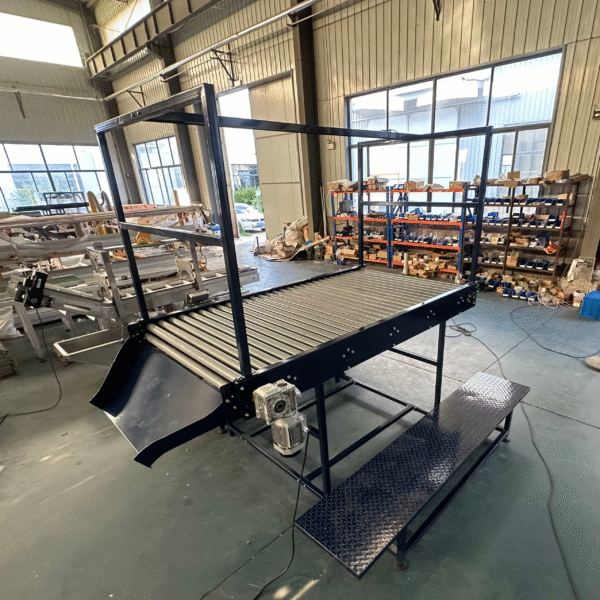 Tomato Roller Screening Conveyor Food Factory Pear Screening Conveyor System Picking Powered Roller Orange Screening Conveyor - Image 3