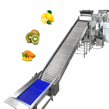 Fruit Sorting Conveyor Food Grade Belt Conveyor Fruit Grading Conveyor Incline Elevator Conveyor